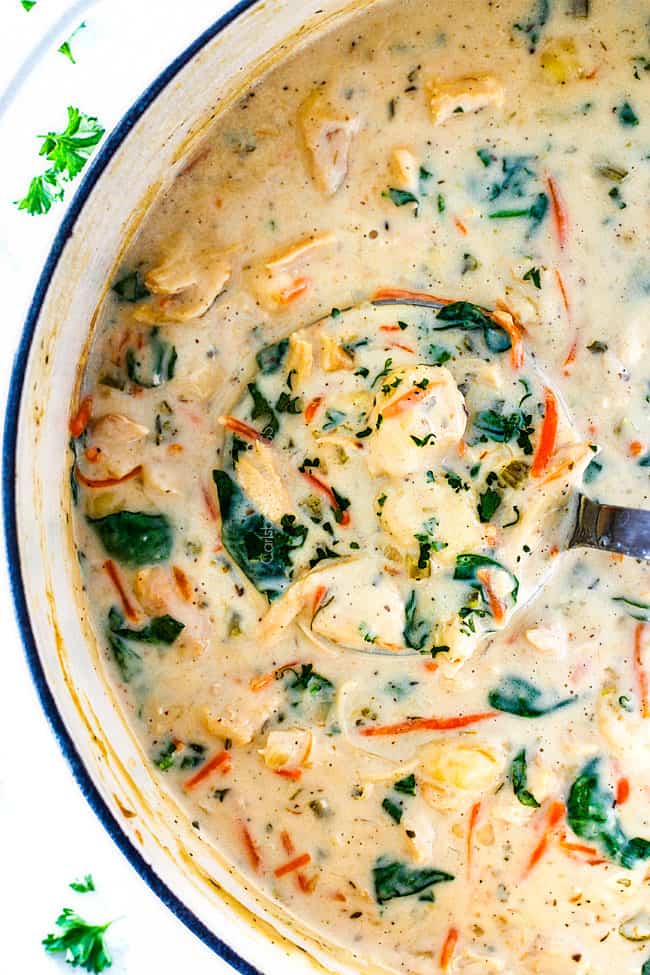Chicken & Gnocchi Soup