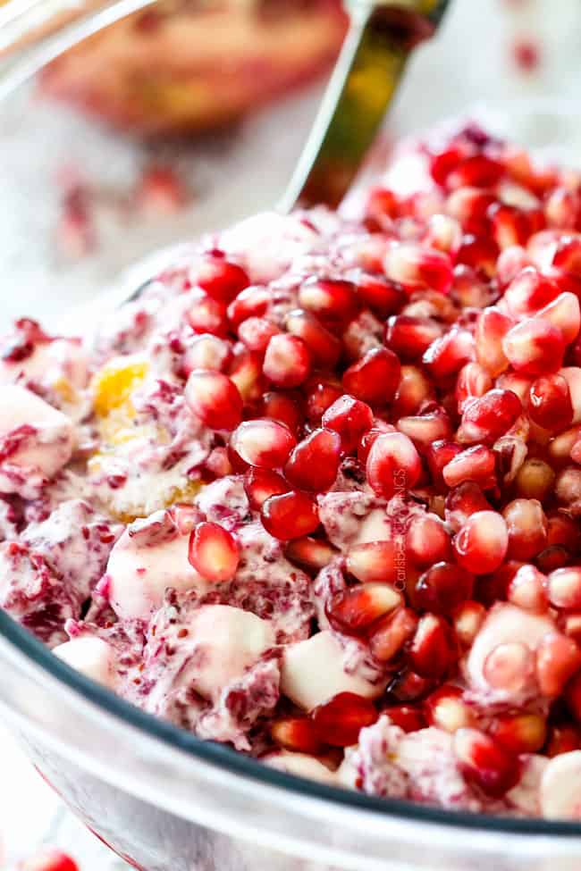 Cranberry Pomegranate Ambrosia Salad