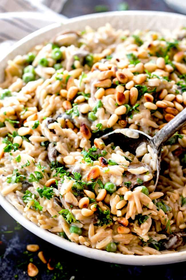 Mushroom Orzo Pasta In Asiago Thyme Sauce