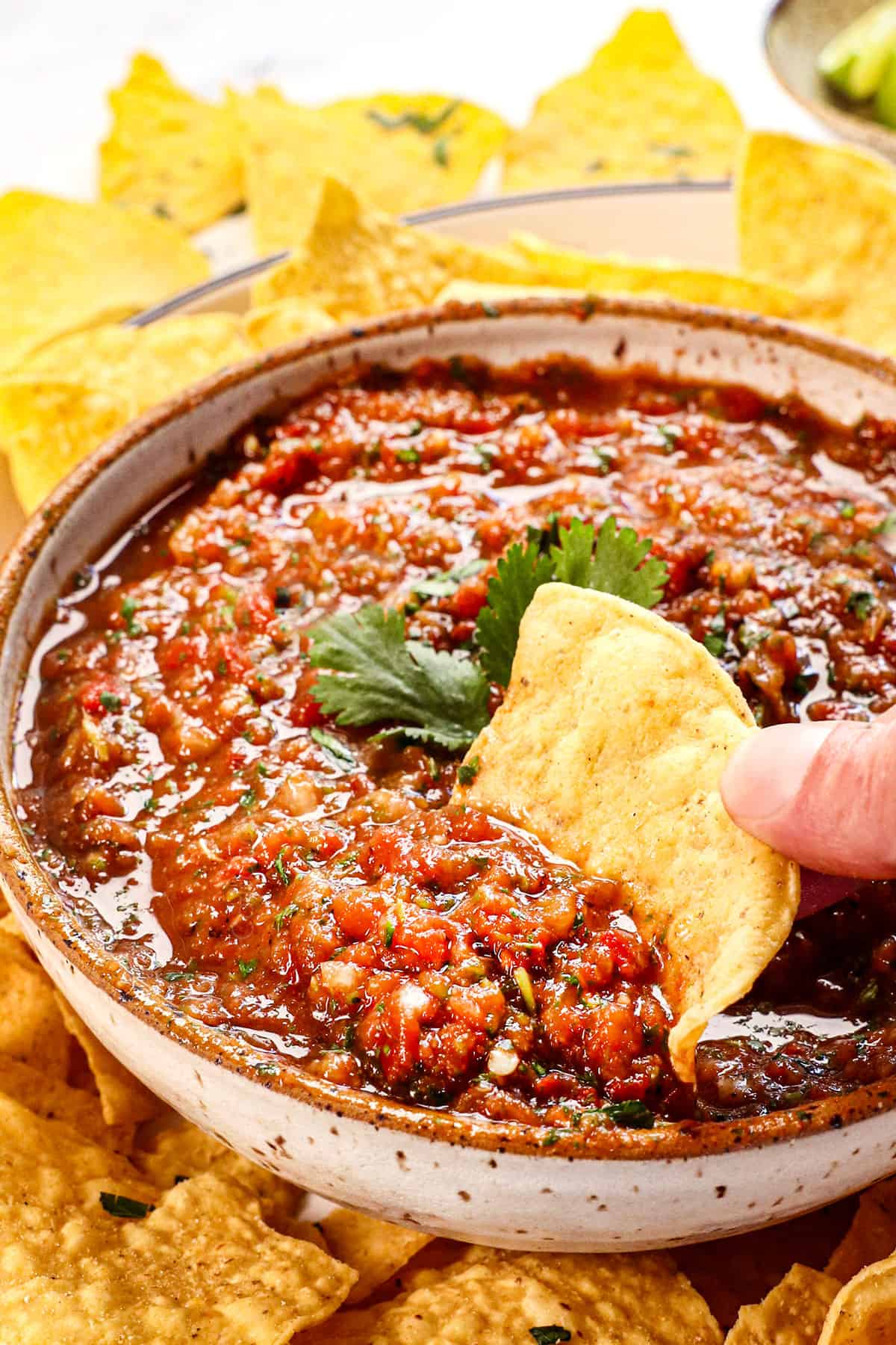 Blender Salsa