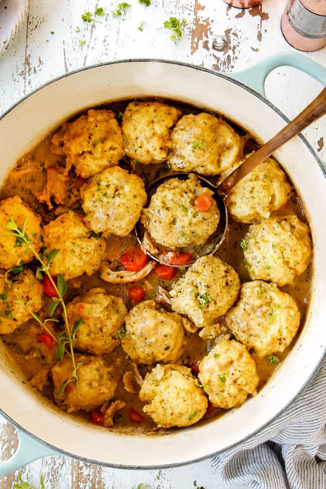 Homemade Chicken and Dumplings