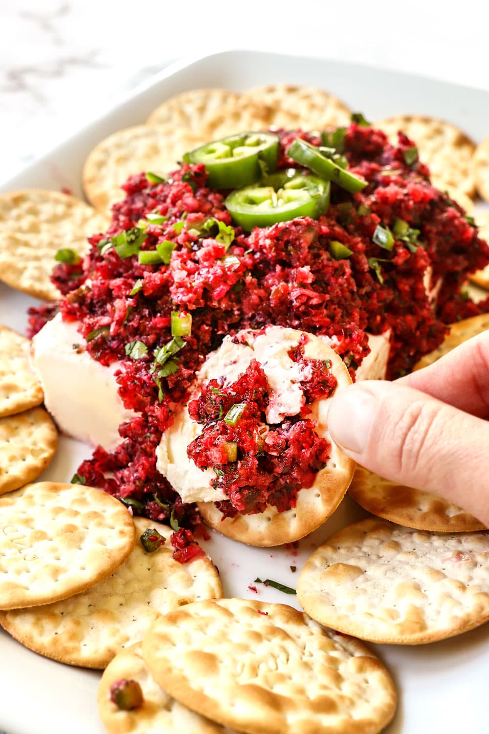 Cranberry Salsa