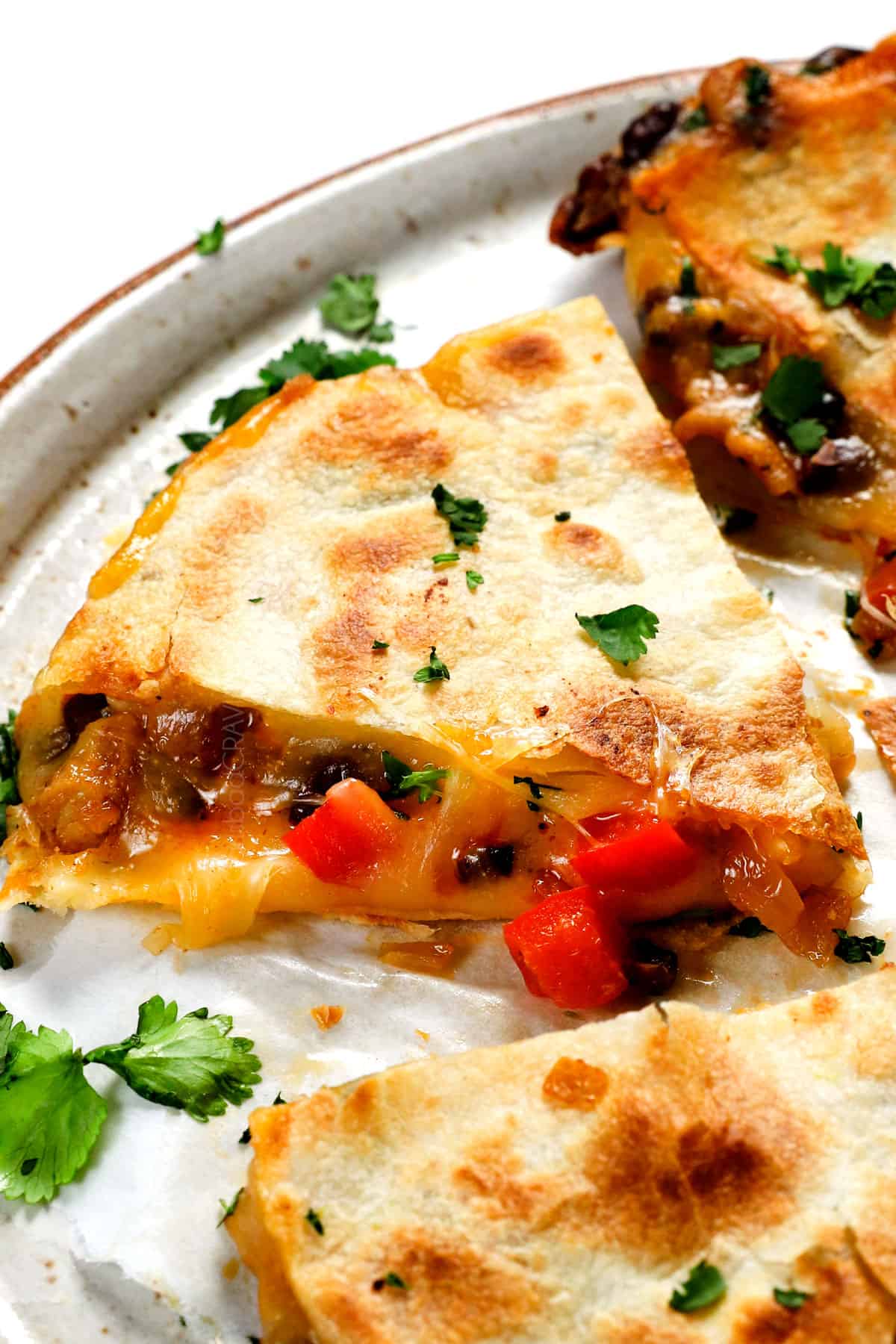 Homemade Chicken Quesadilla