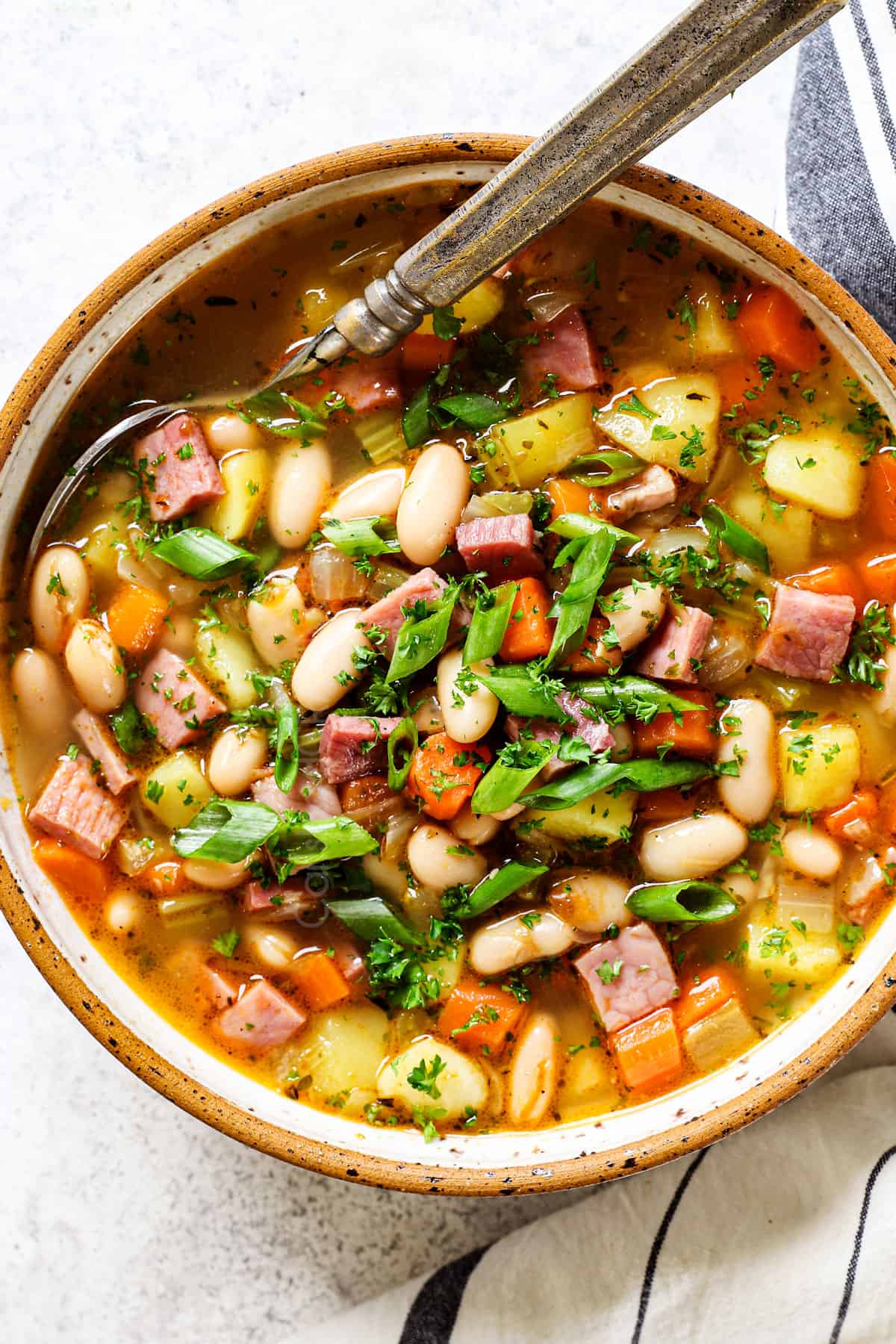 Ham and Bean Soup