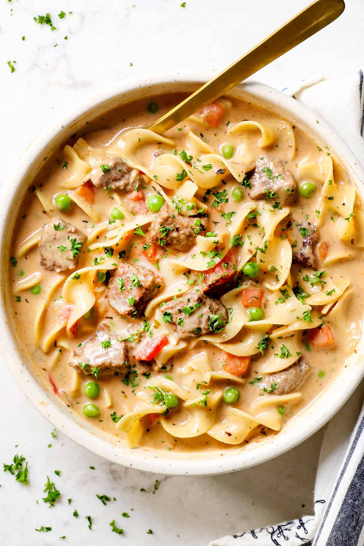Beef Noodle Soup Recipe