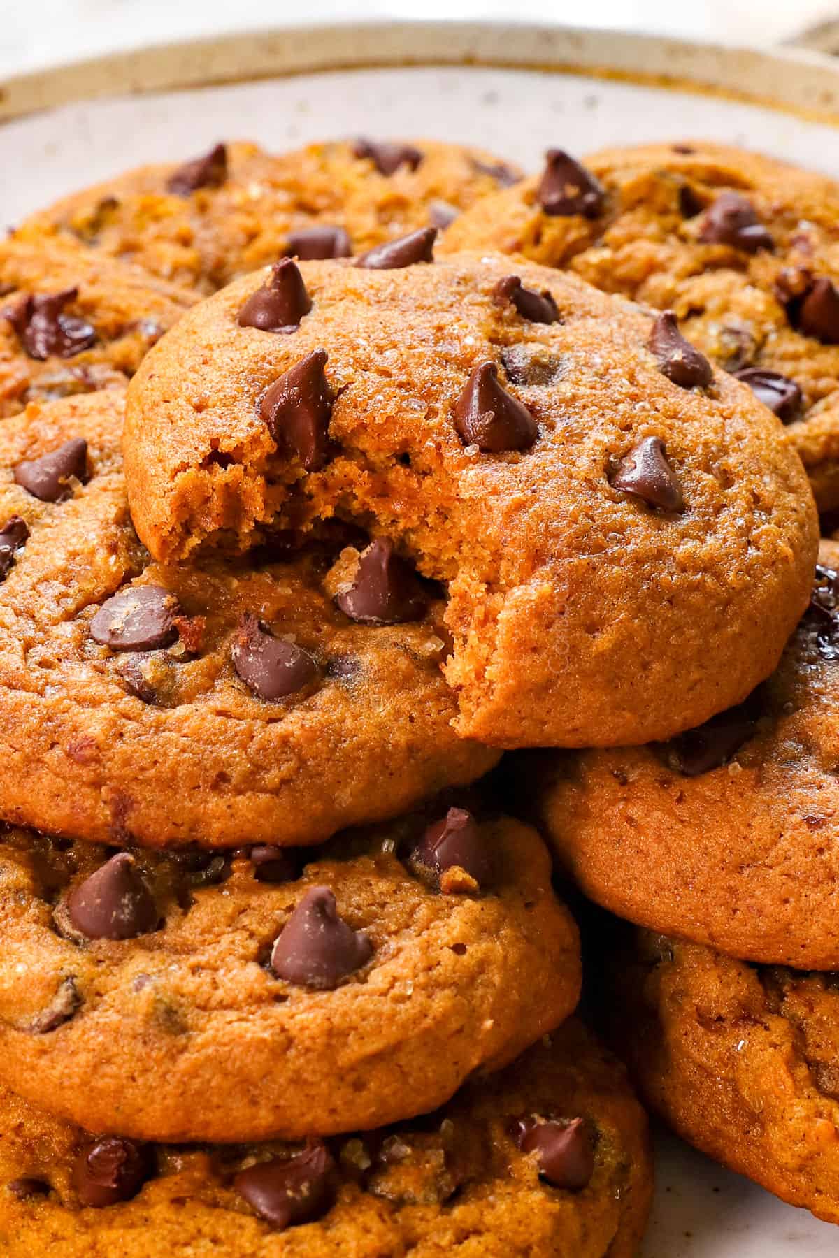 Soft Pumpkin Chocolate Chip Cookies