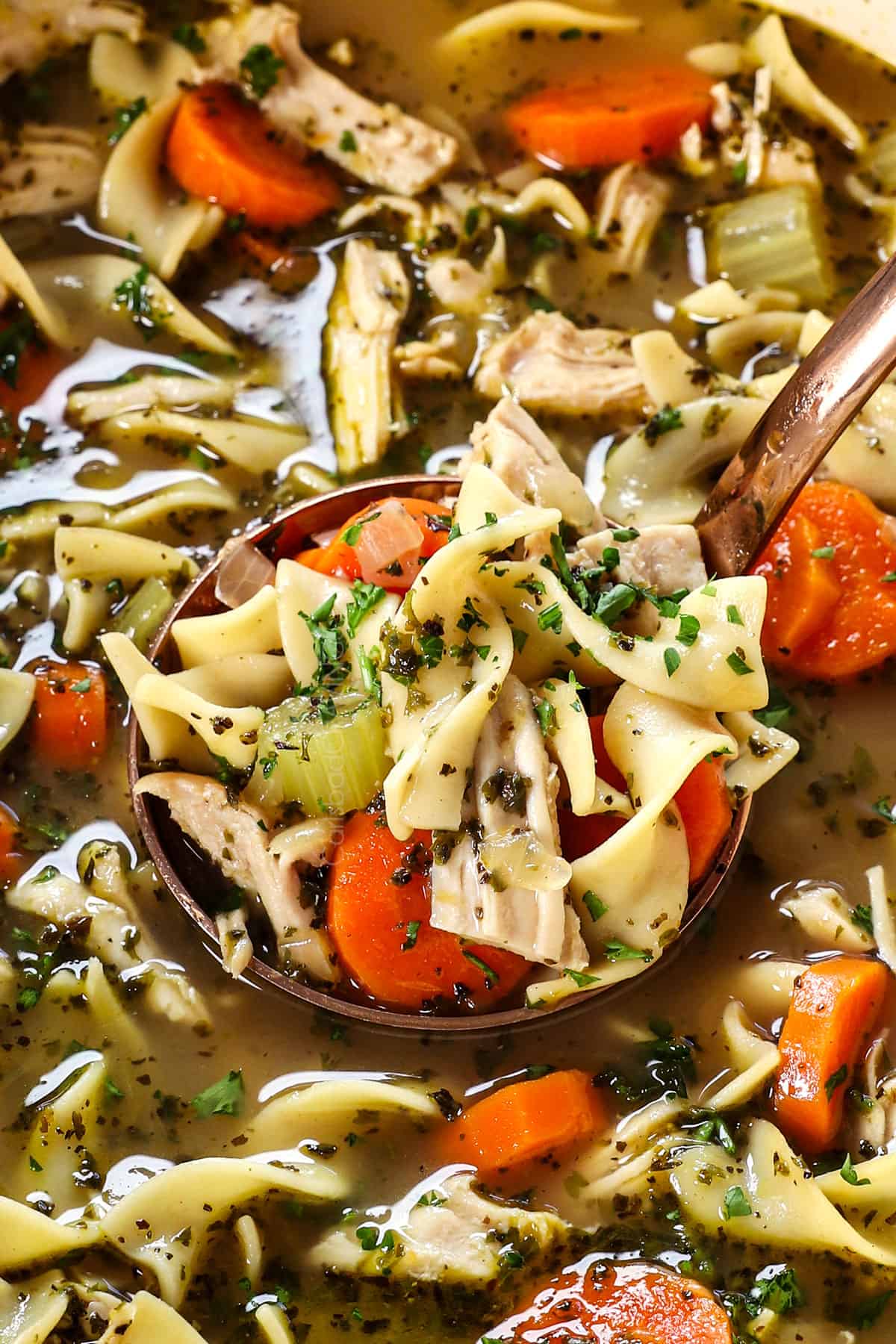 Best Recipe for Turkey Soup