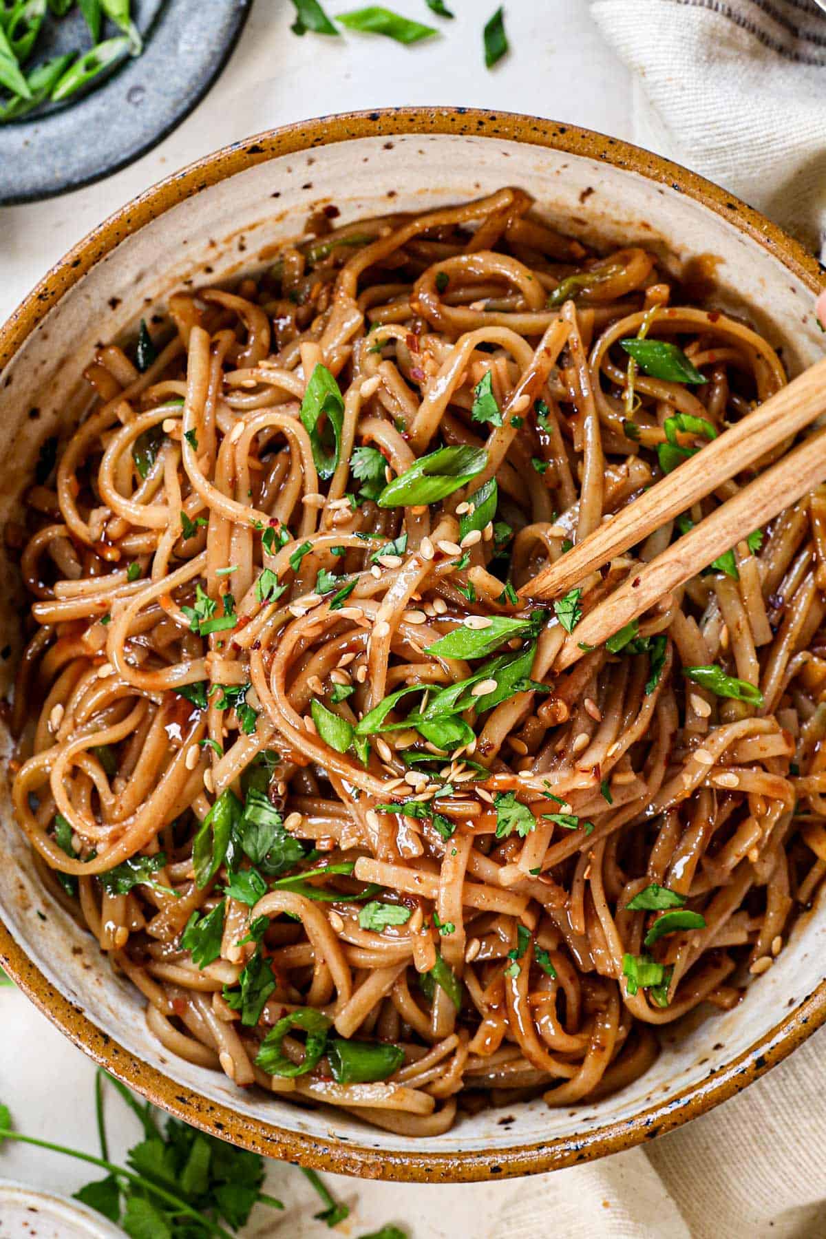 Hot and Spicy Noodles