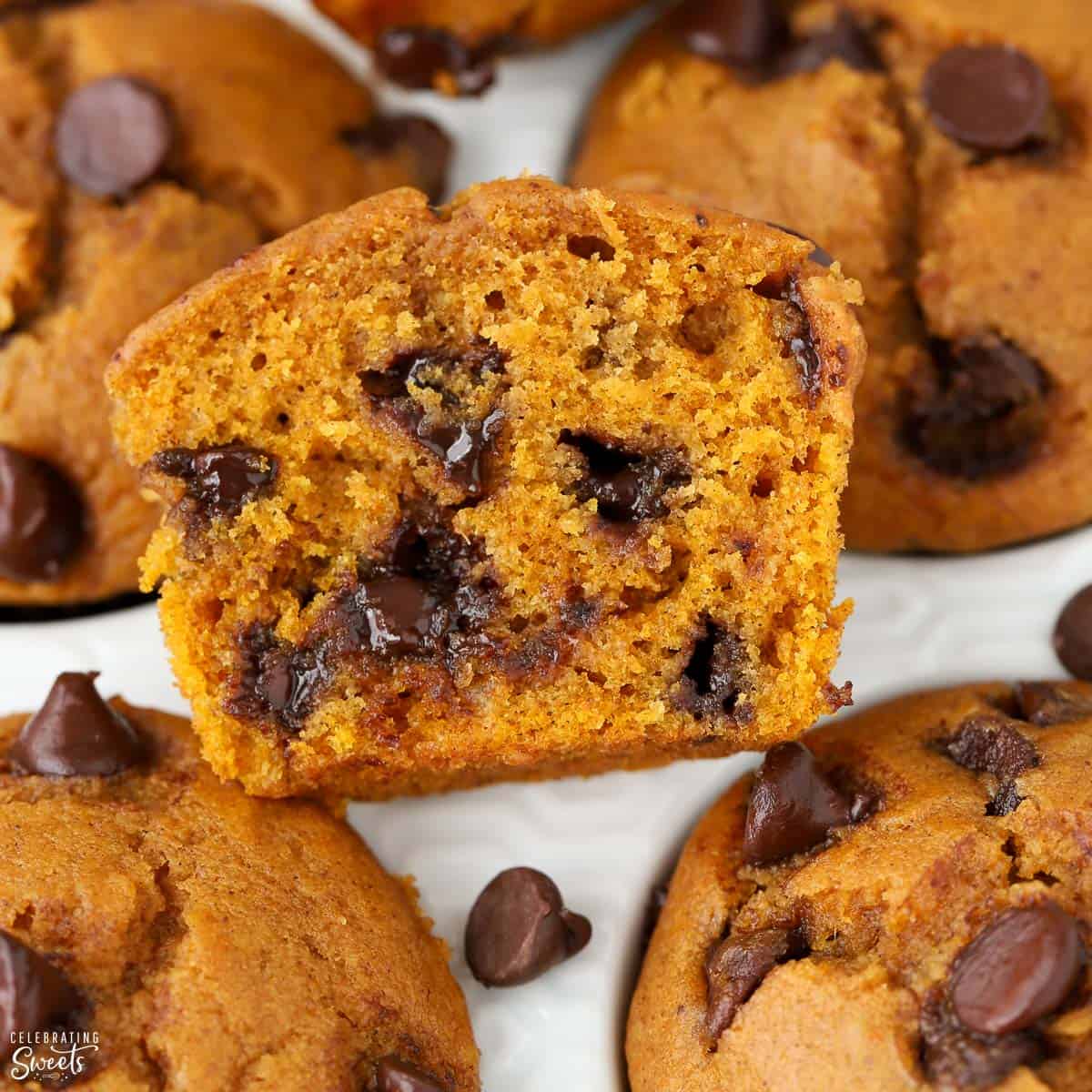 Pumpkin Chocolate Chip Muffins