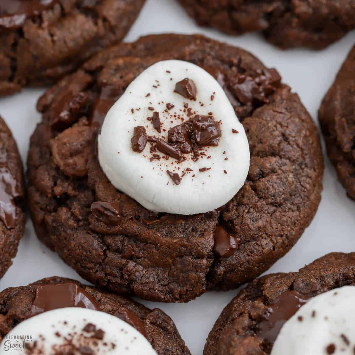 Hot Chocolate Cookies