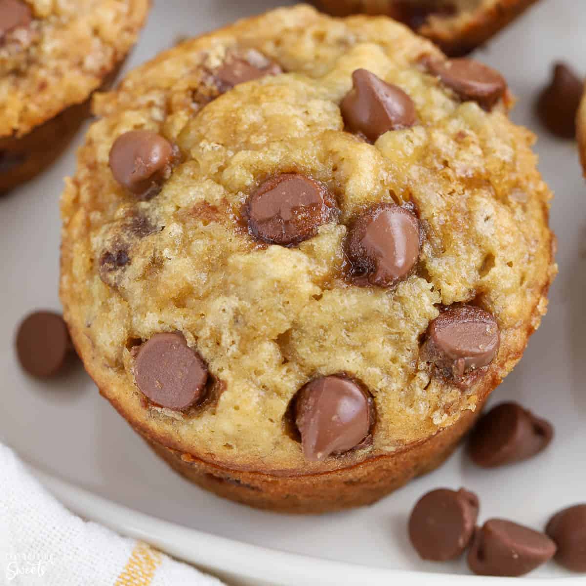 Banana Chocolate Chip Muffins