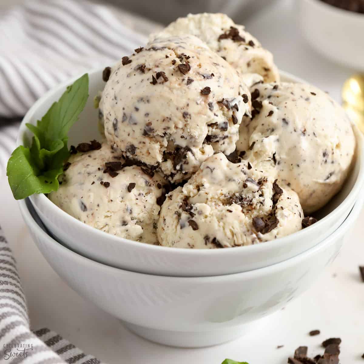 Mint Chocolate Chip Ice Cream