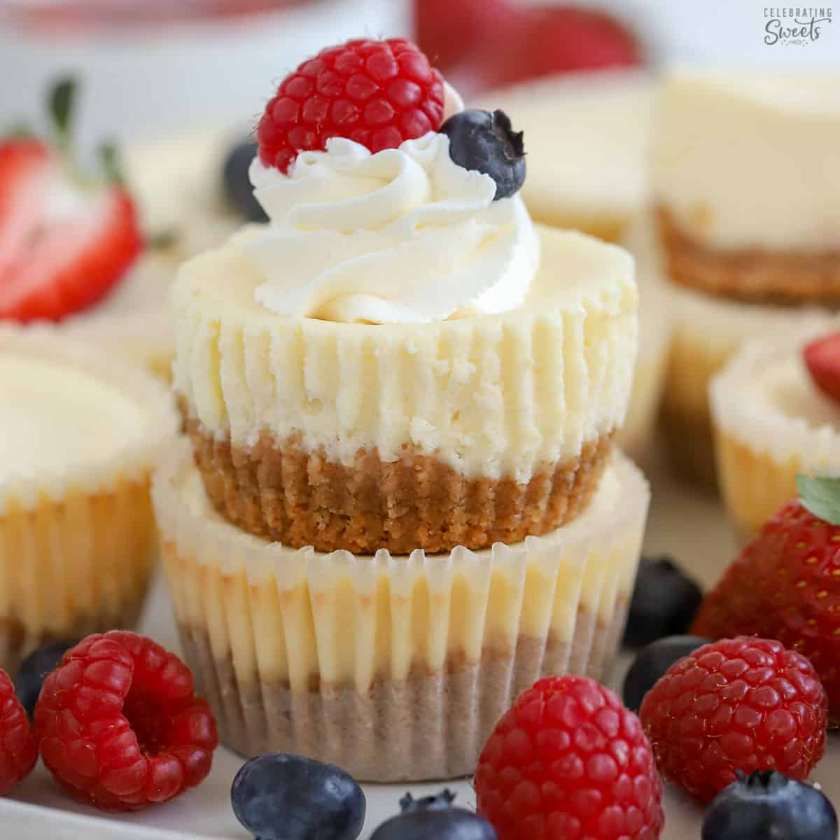 Mini Cheesecake Recipe