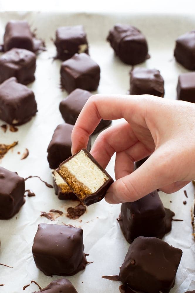 Chocolate Covered Cheesecake Bites