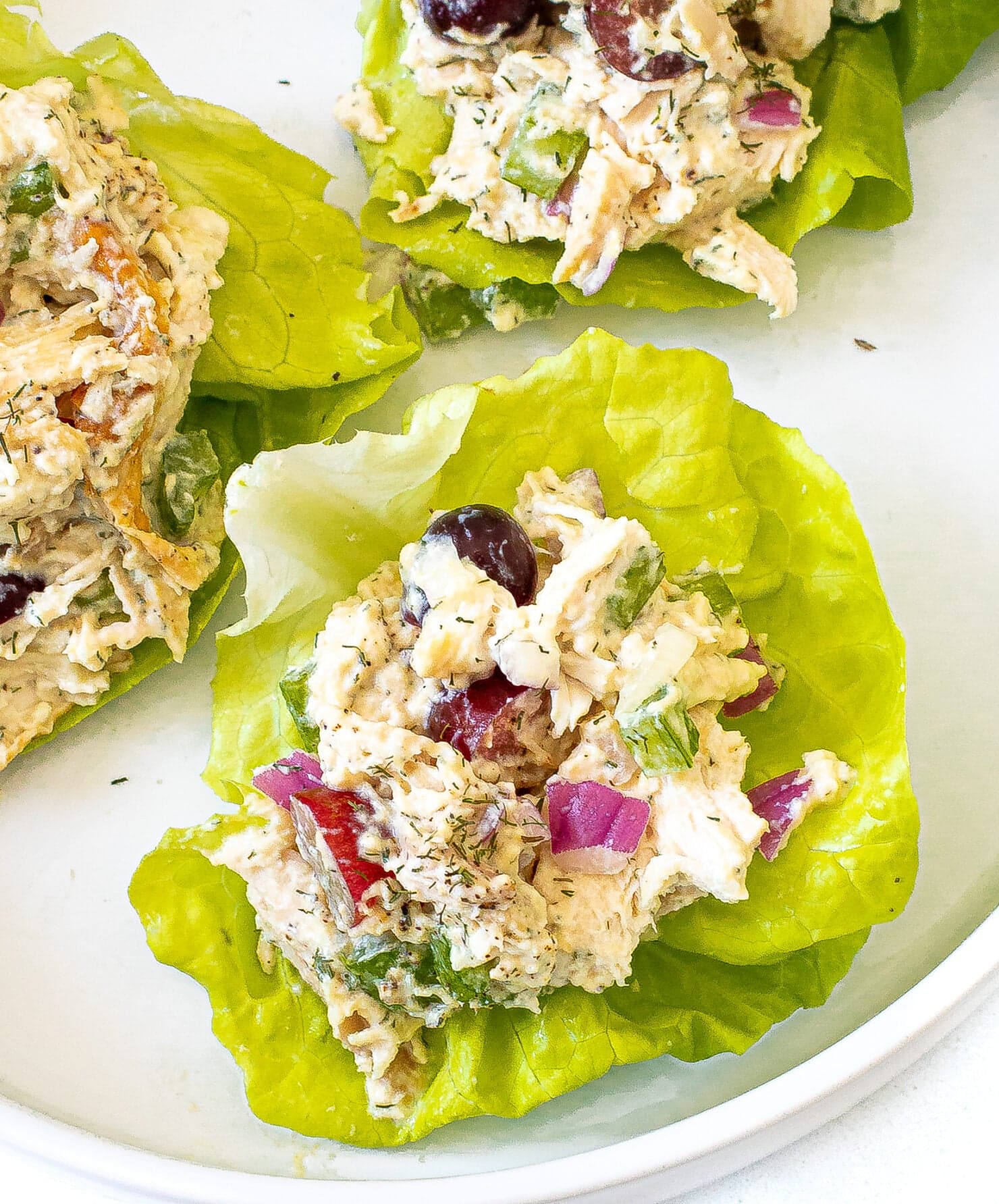 Greek Yogurt Chicken Salad