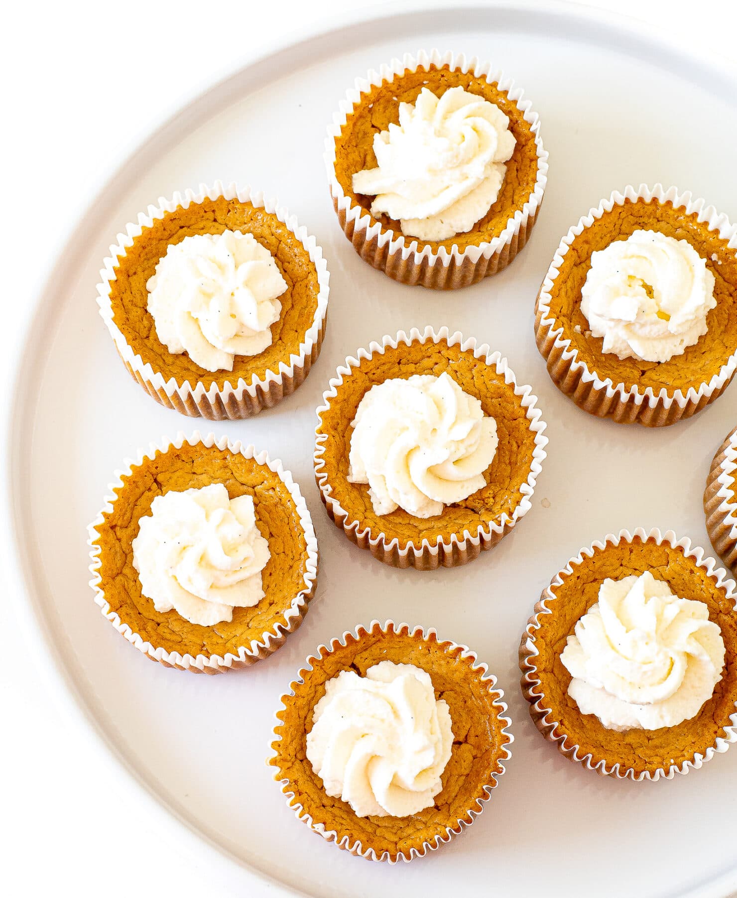 Mini Pumpkin Cottage Cheese Cheesecakes
