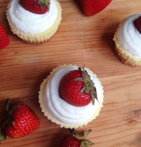 Mini Lemon Ricotta Cheesecakes