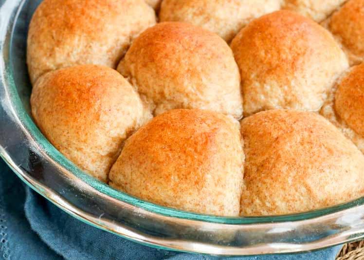 Whole Wheat Dinner Rolls