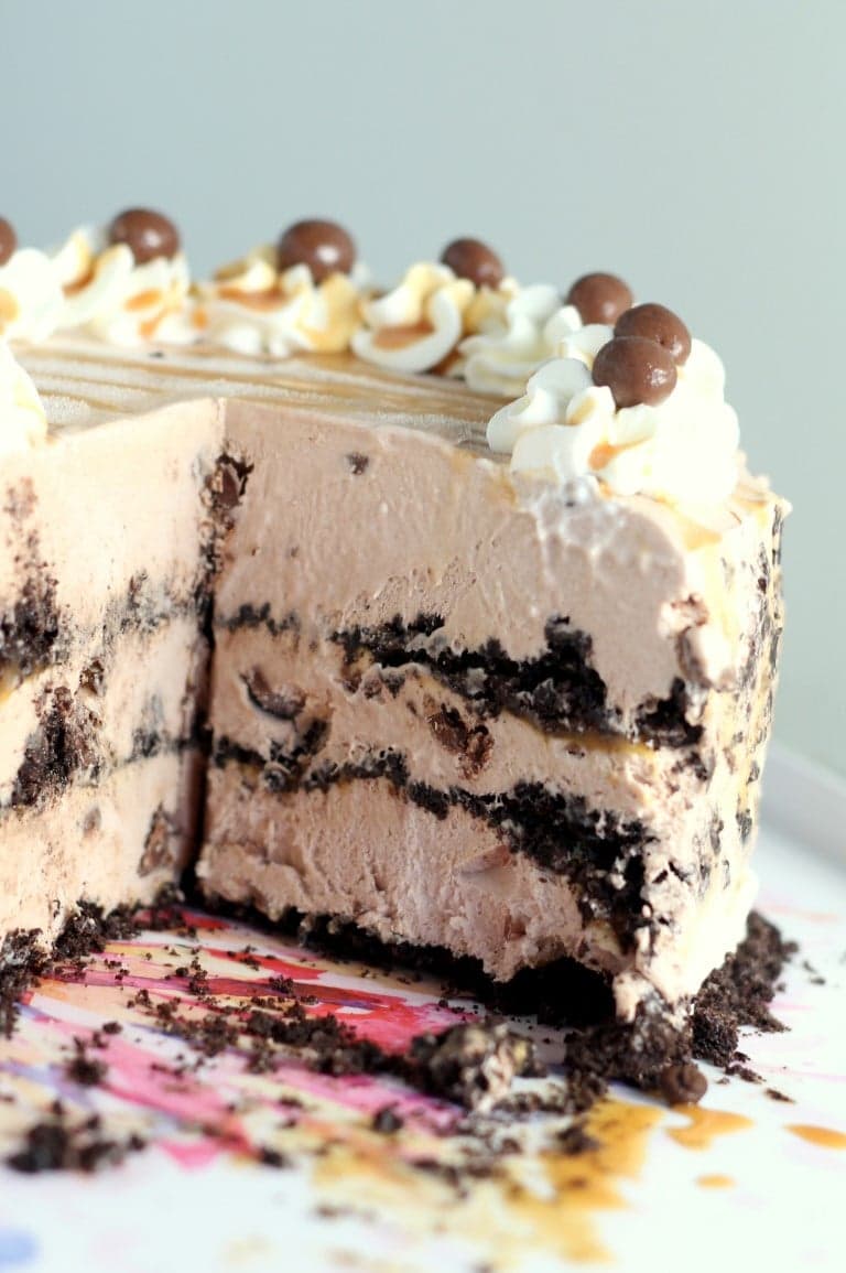 Salted Caramel Mocha Ice Cream Cake