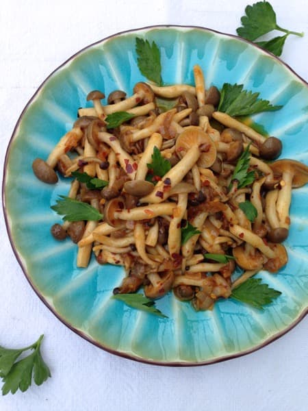 Wild Mushroom White Wine Sauce