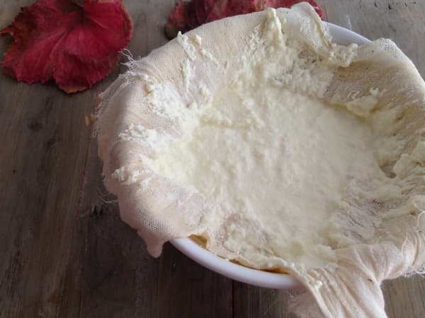 Homemade Ricotta Cheese Recipe