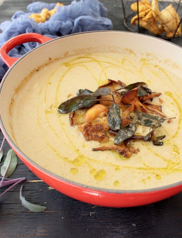 Wild Chanterelle Mushroom Soup
