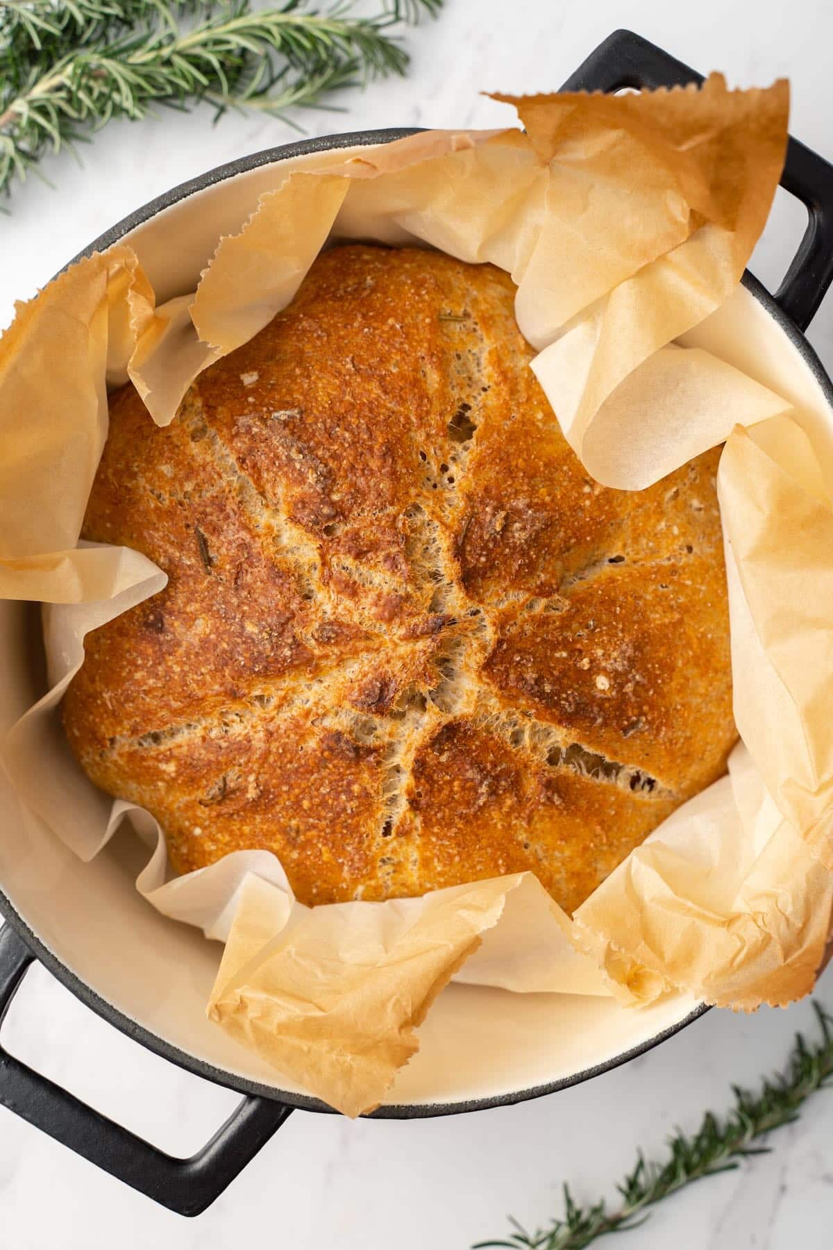 Best Whole Wheat Bread