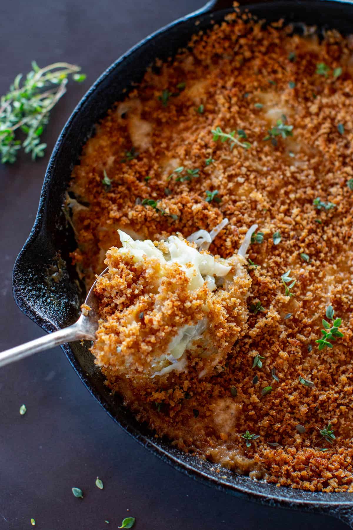 Fennel and Onion Gratin