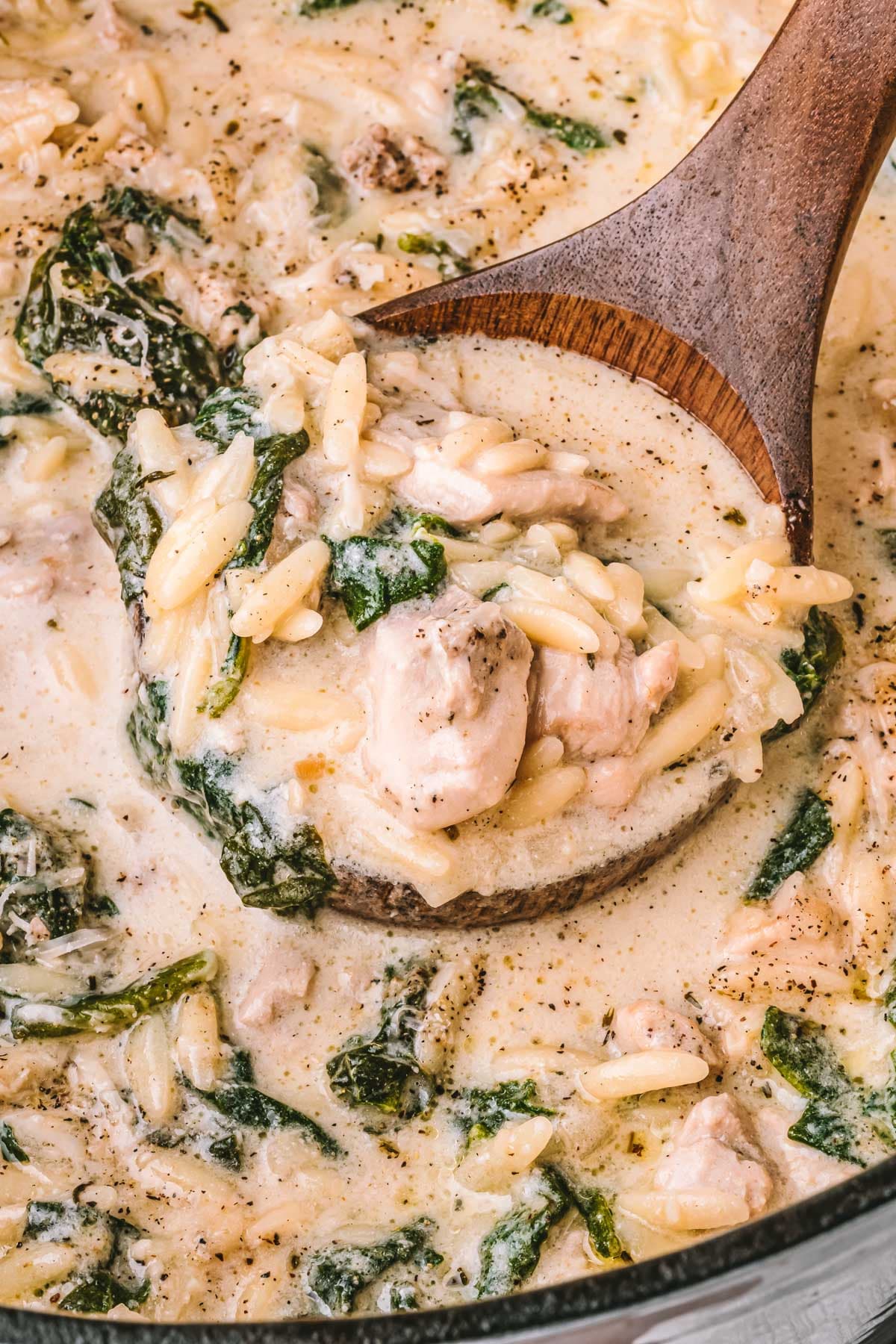 Easy Chicken Florentine Soup