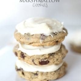 Chocolate Chip Marshmallow Cookies