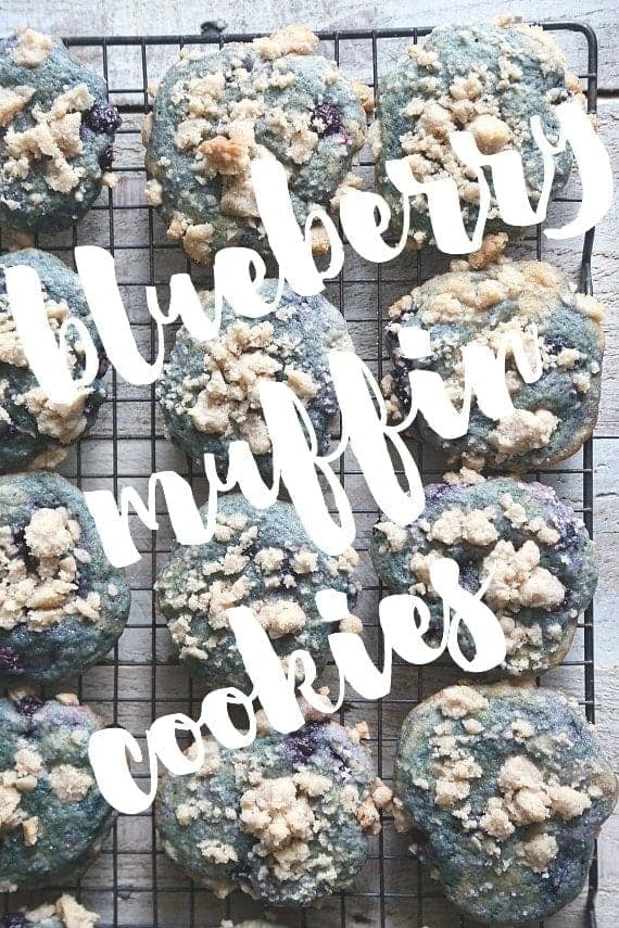Blueberry Muffin Cookies
