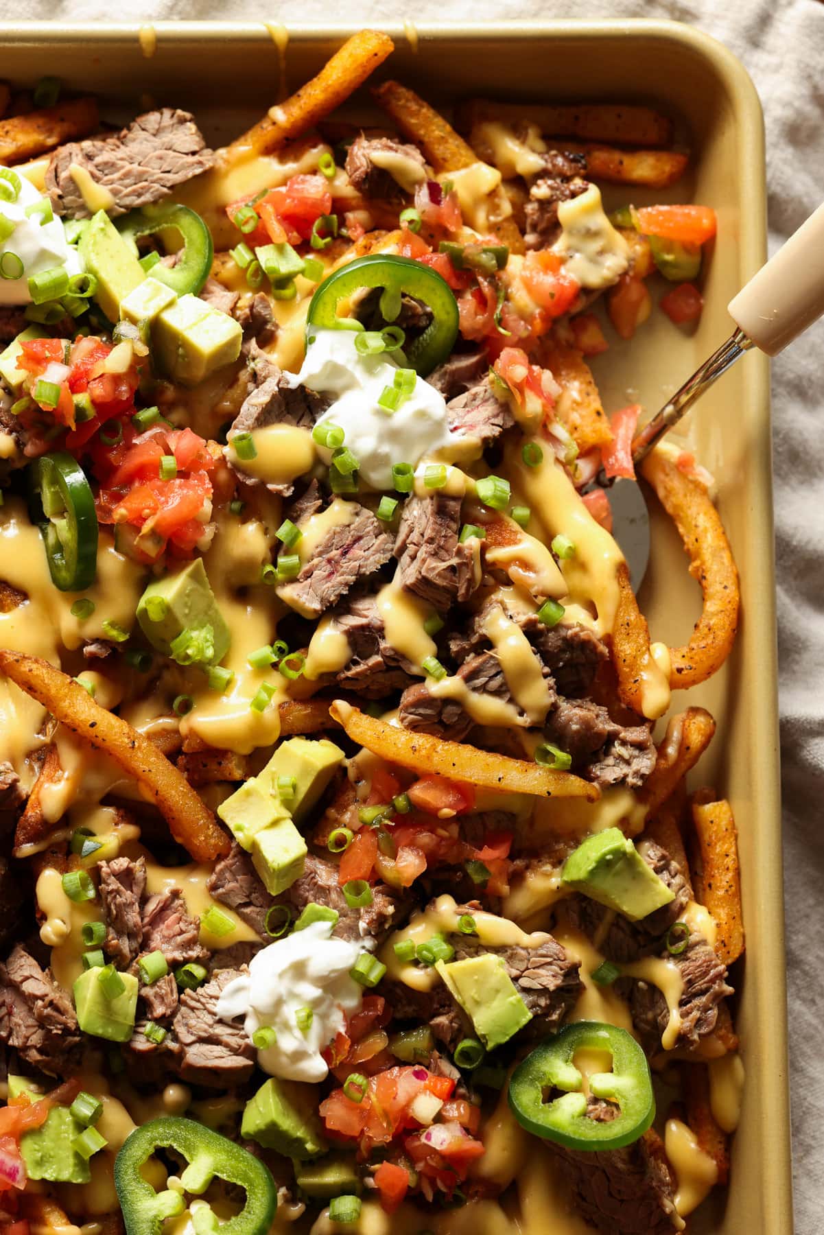 Carne Asada Fries