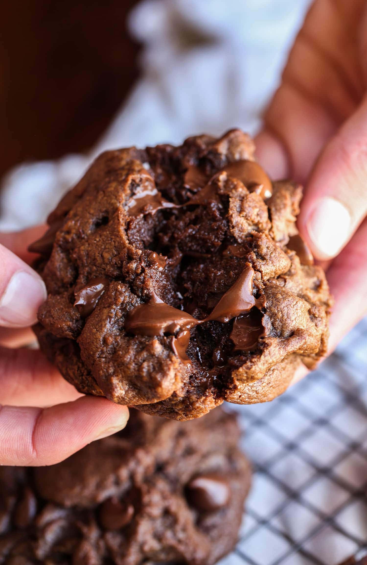 Chocolate Chocolate Chip Cookies