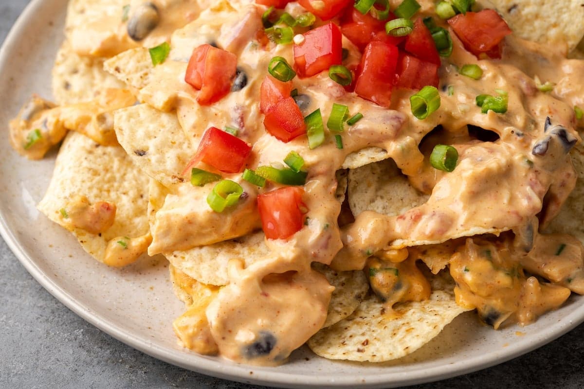 Crock Pot Chicken Nacho Dip