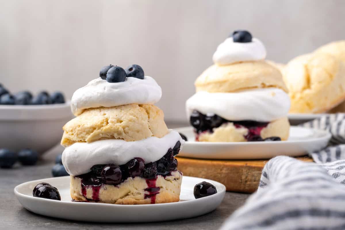 Blueberry Shortcake