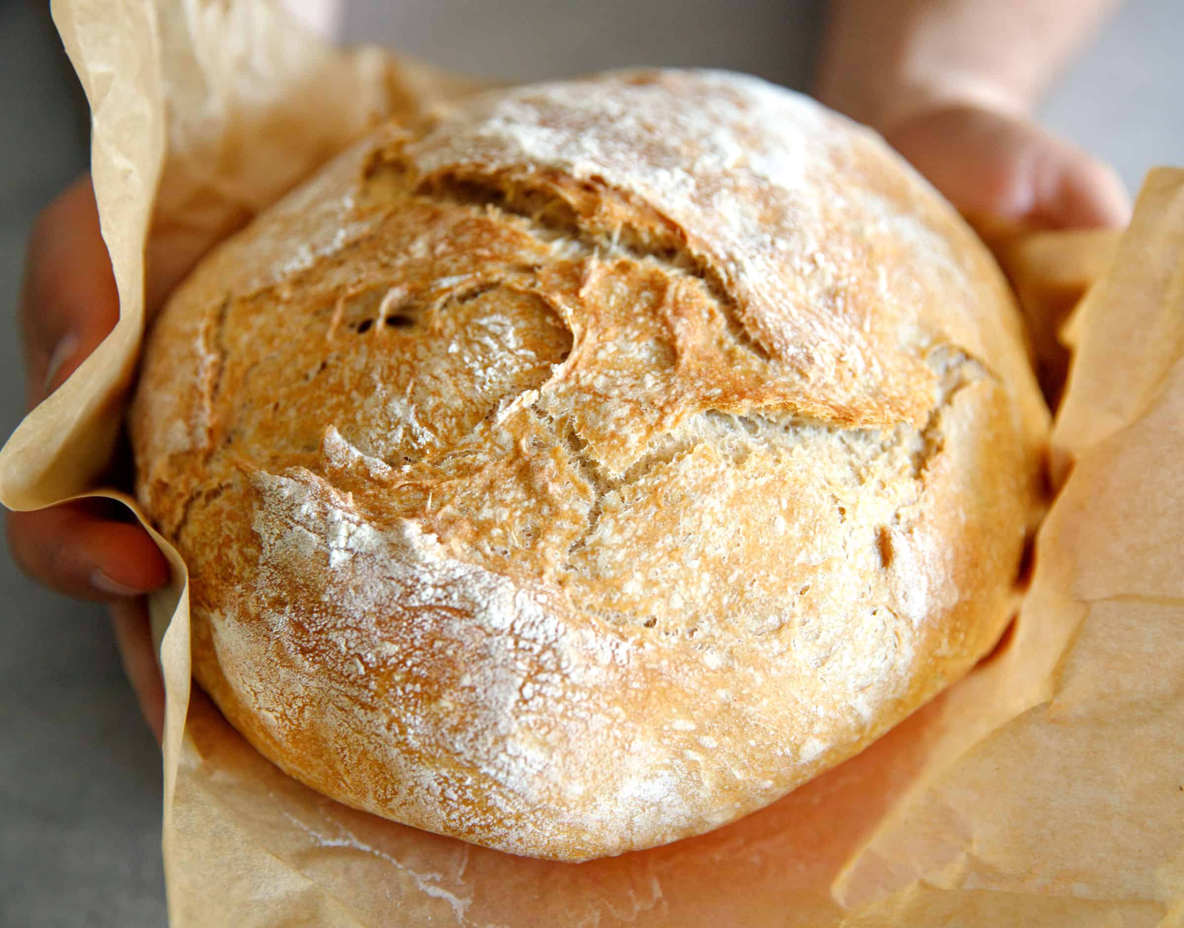 Quick No Knead Bread In Dutch Oven