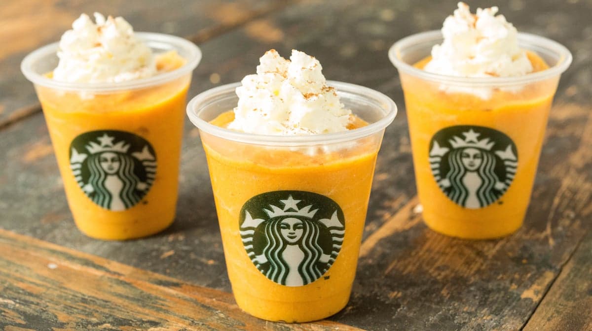 Pumpkin Spice Latte For Dogs Recipe