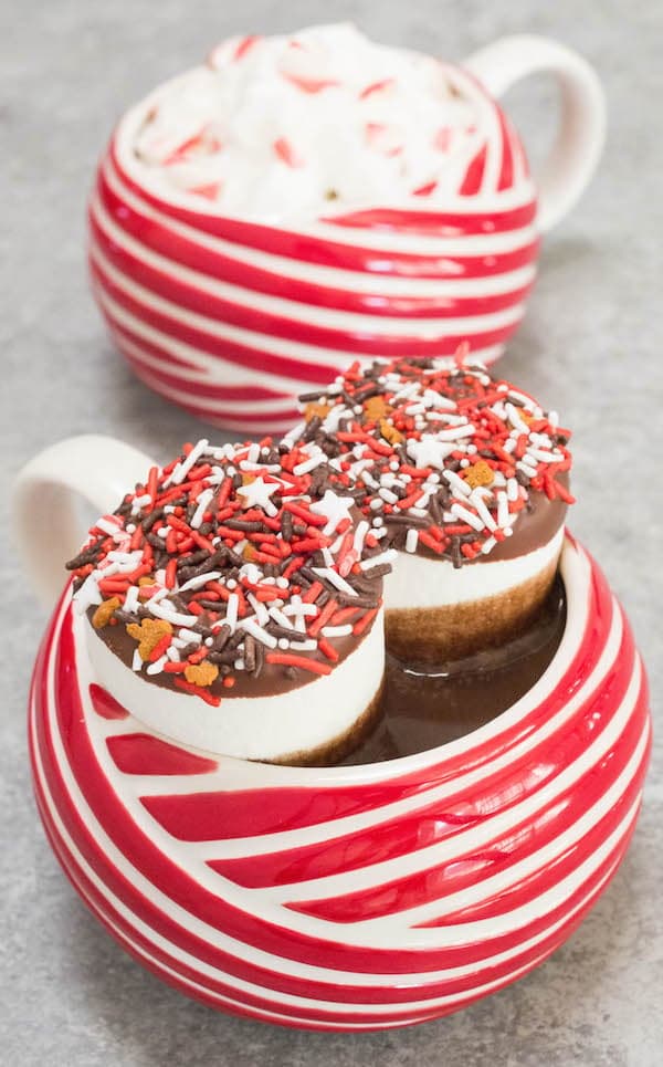 Crock Pot Peppermint Hot Chocolate Recipe