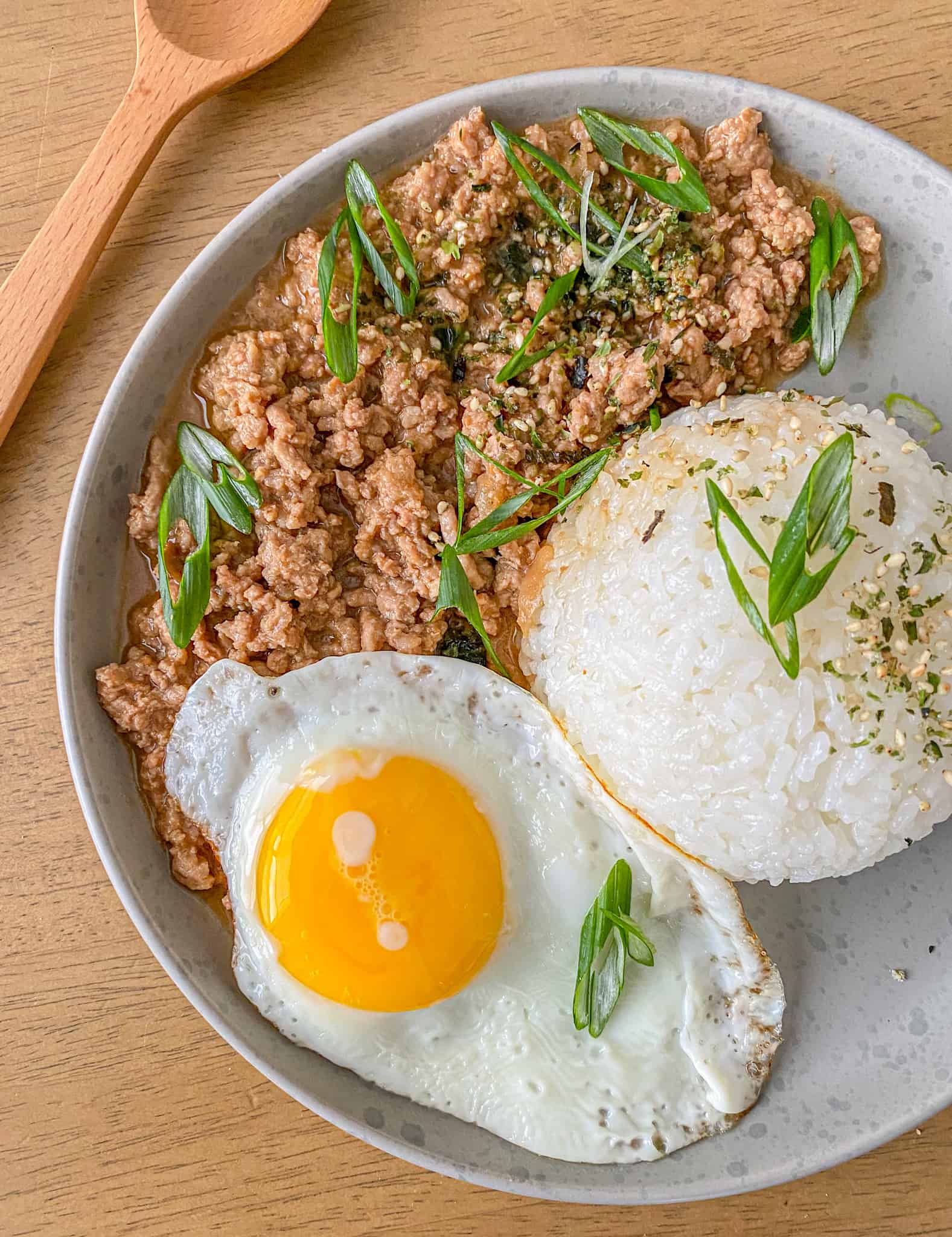 Braised Minced Pork Over Rice (肉燥饭)