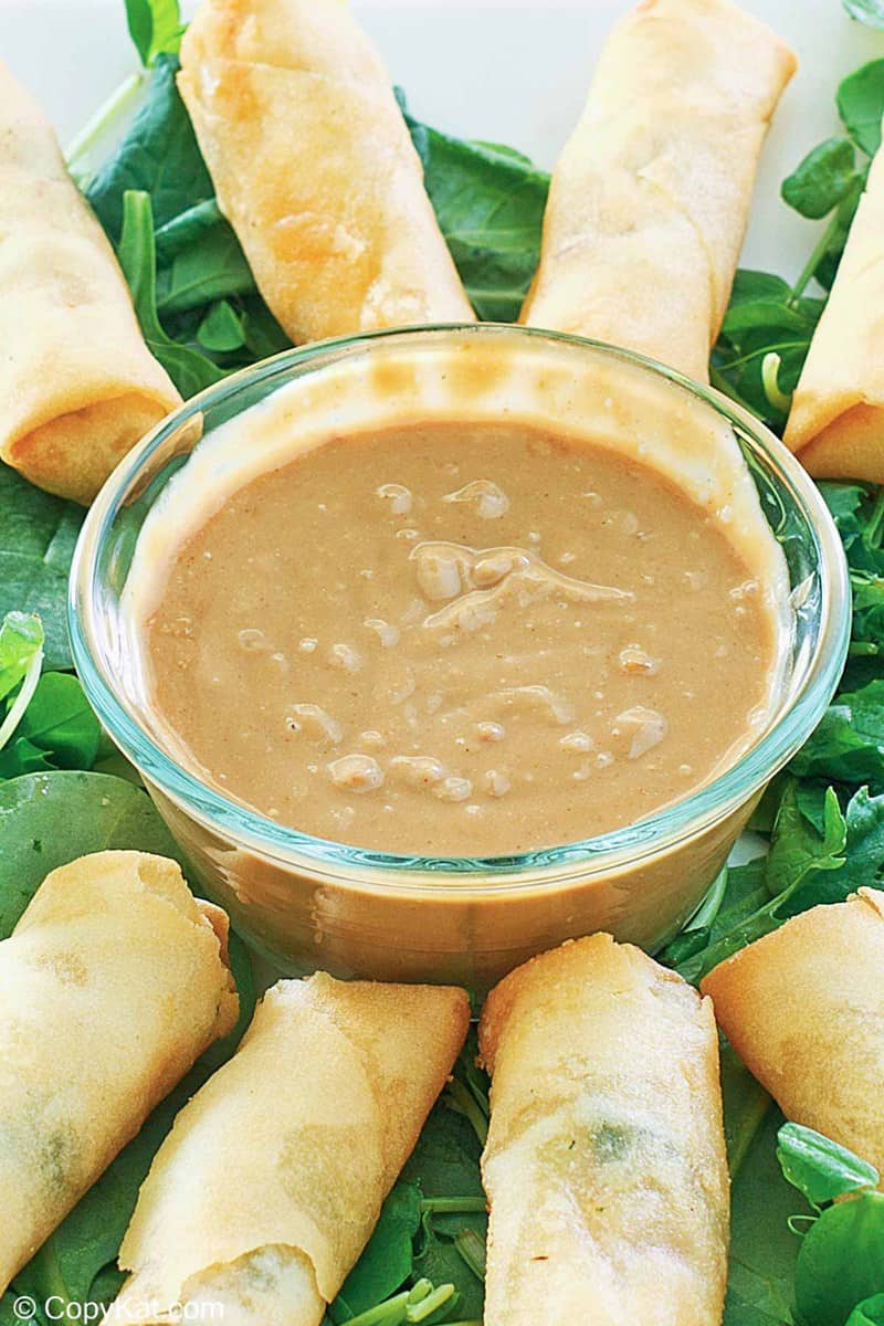 Easy Thai Peanut Sauce - Versatile Spicy Dipping Sauce