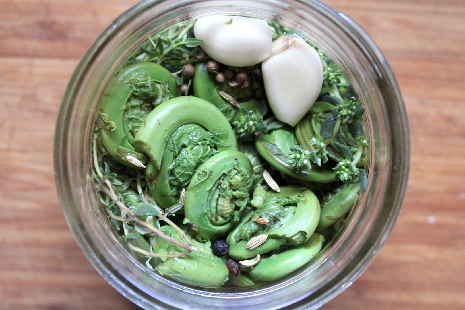 Pickled Fiddleheads