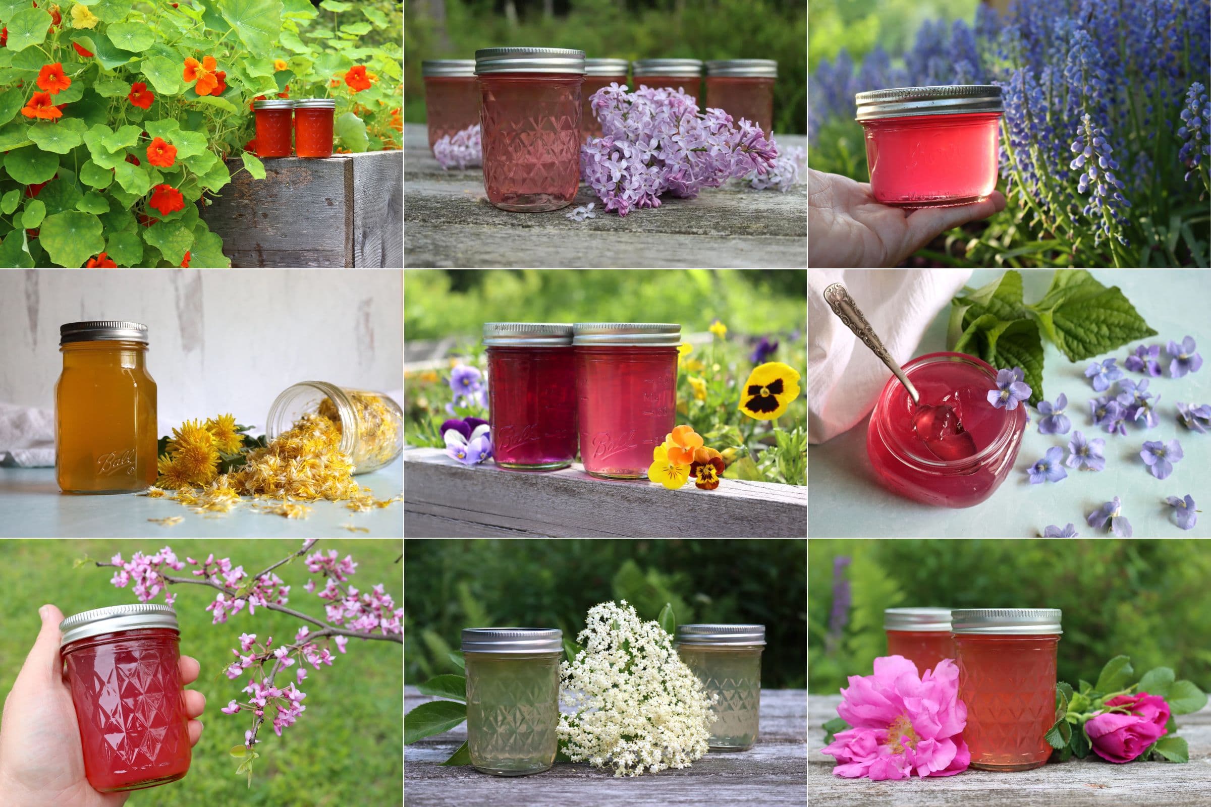 Flower Jelly
