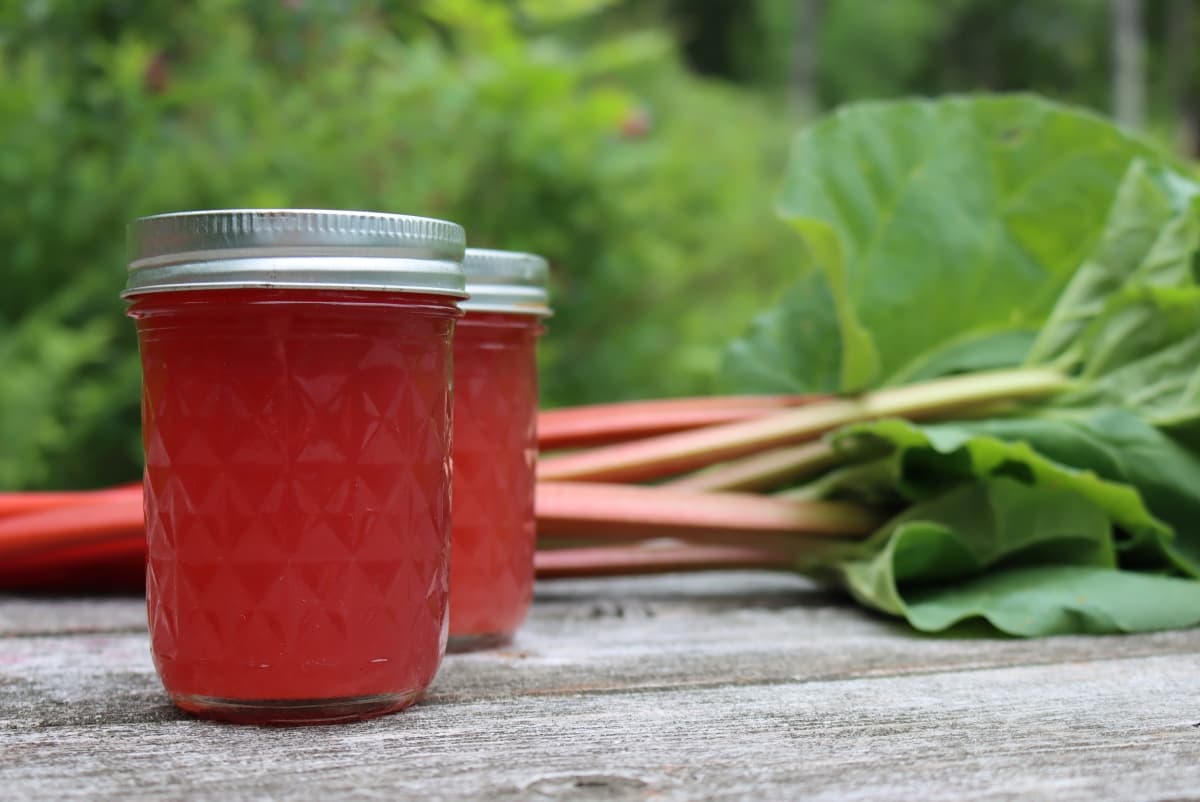 Rhubarb Juice Concentrate (with Canning Instructions)