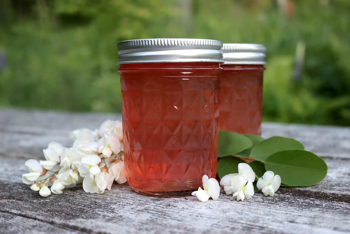 Black Locust Flower Jelly