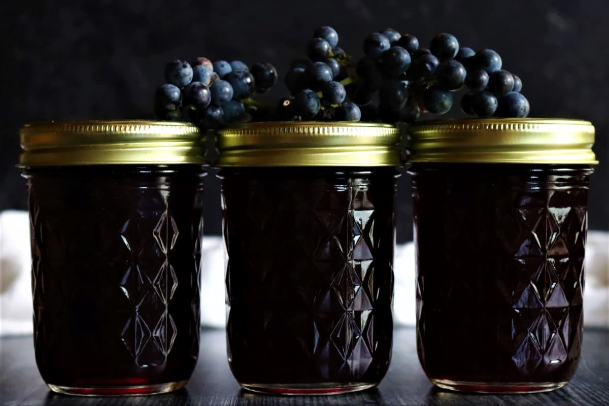 Wild Grape Jelly