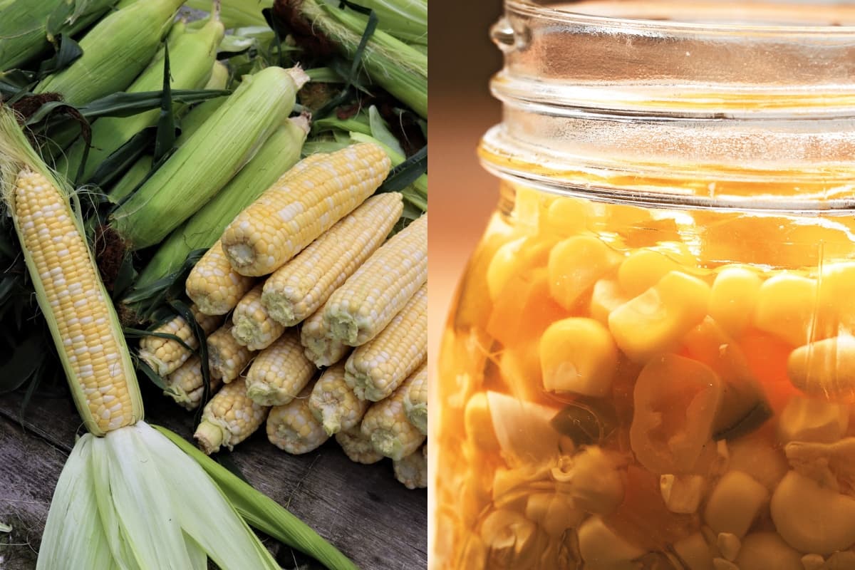Canning Pickled Corn Salad