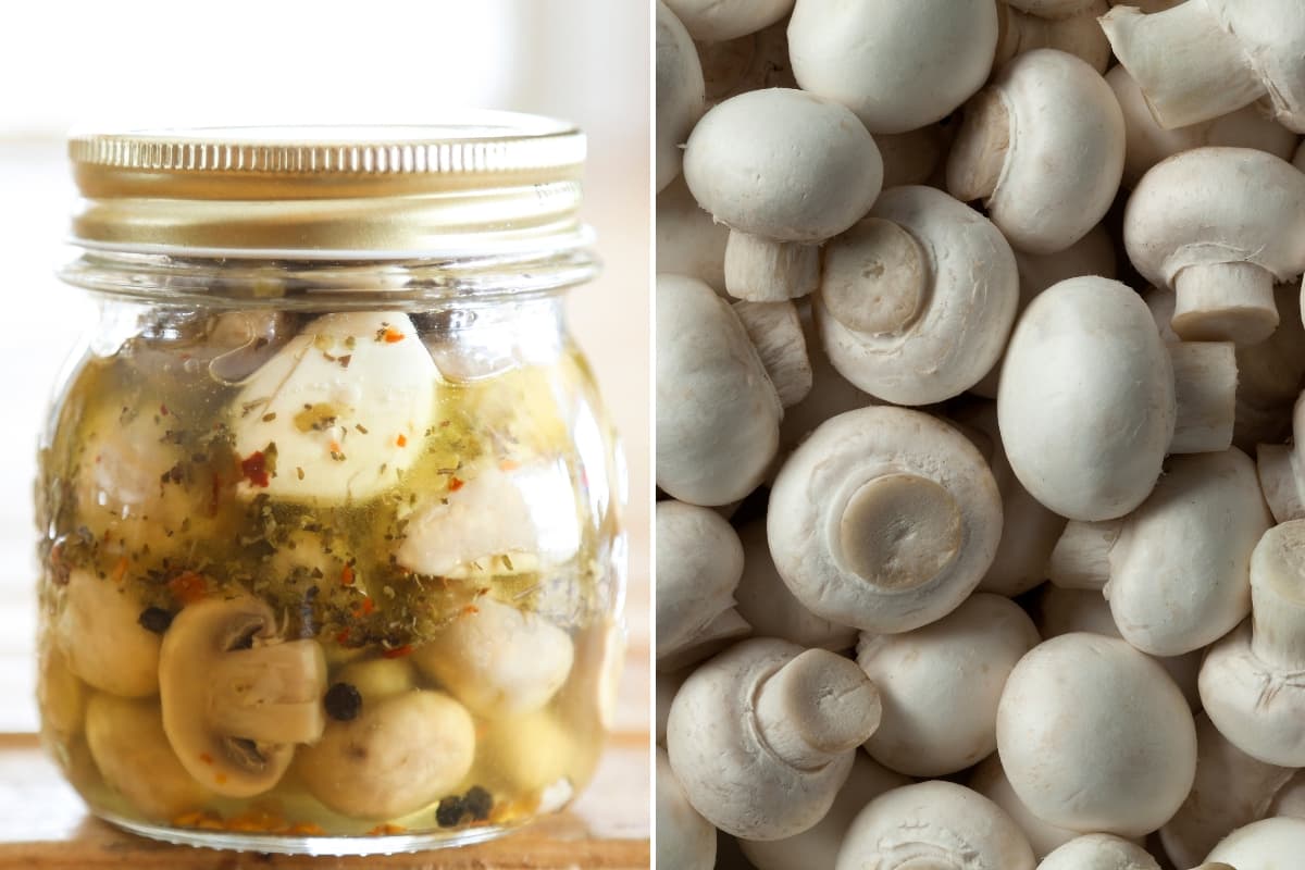 Marinated Mushrooms (Canning Recipe)