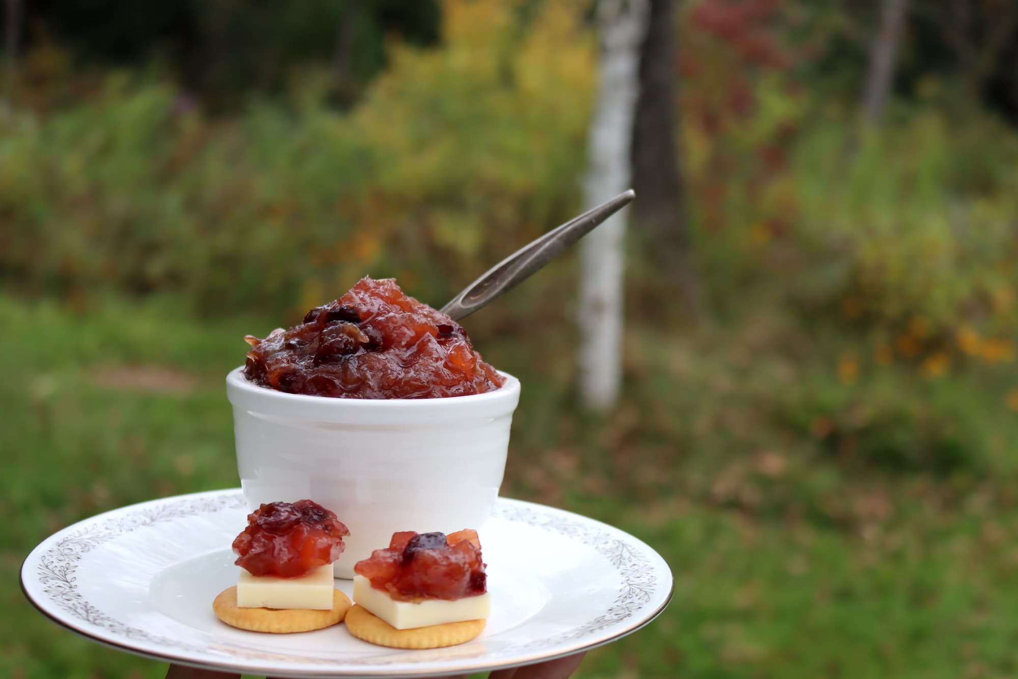 Rhubarb Chutney