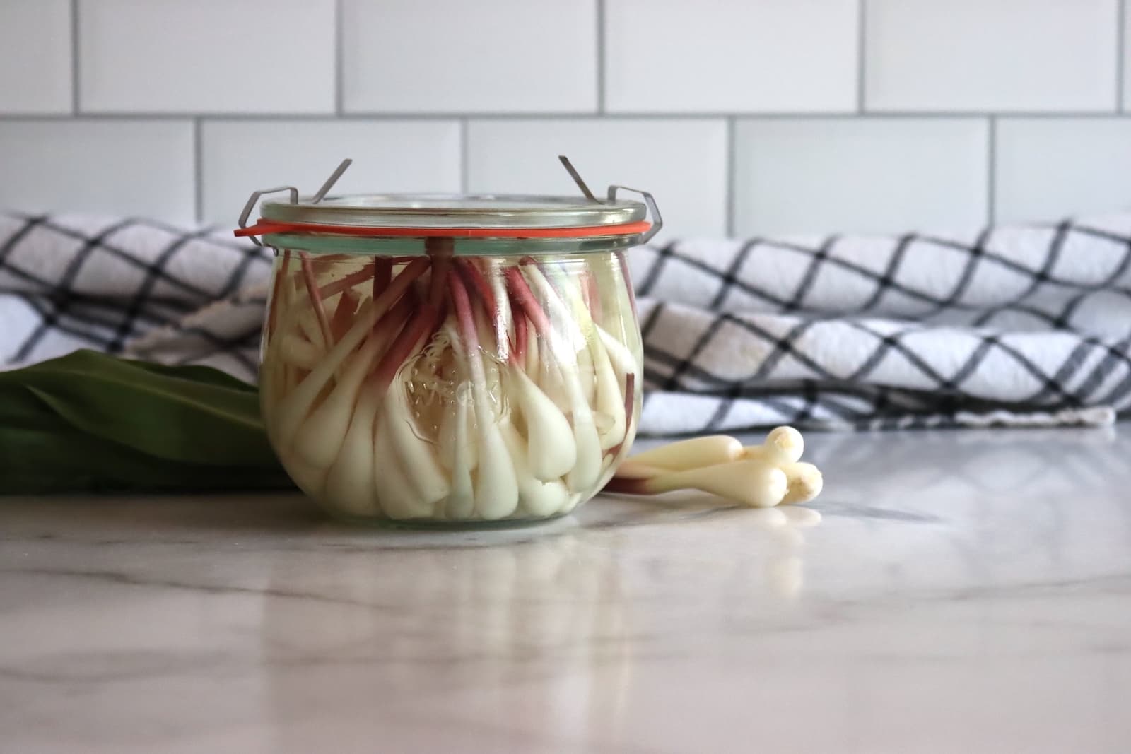 Pickled Ramps (Wild Leeks)
