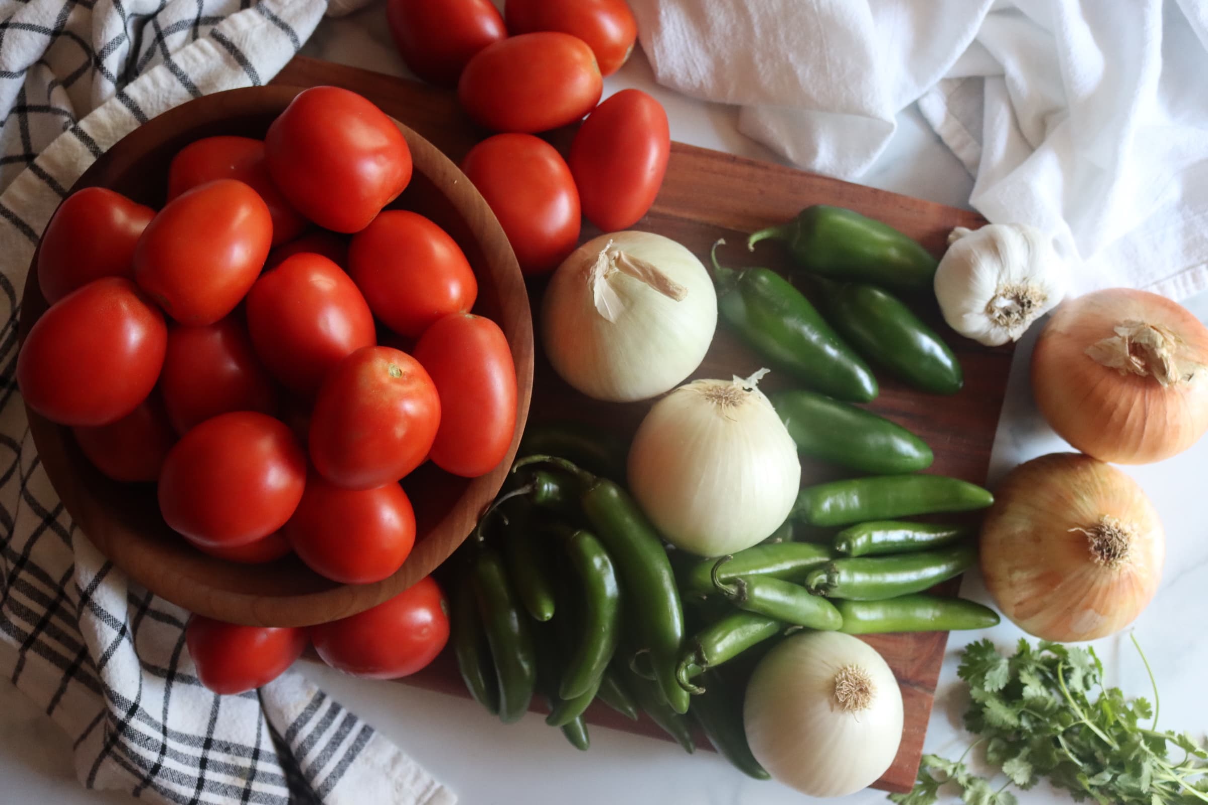 Hearty Tomato Salsa (with Paste Tomatoes)